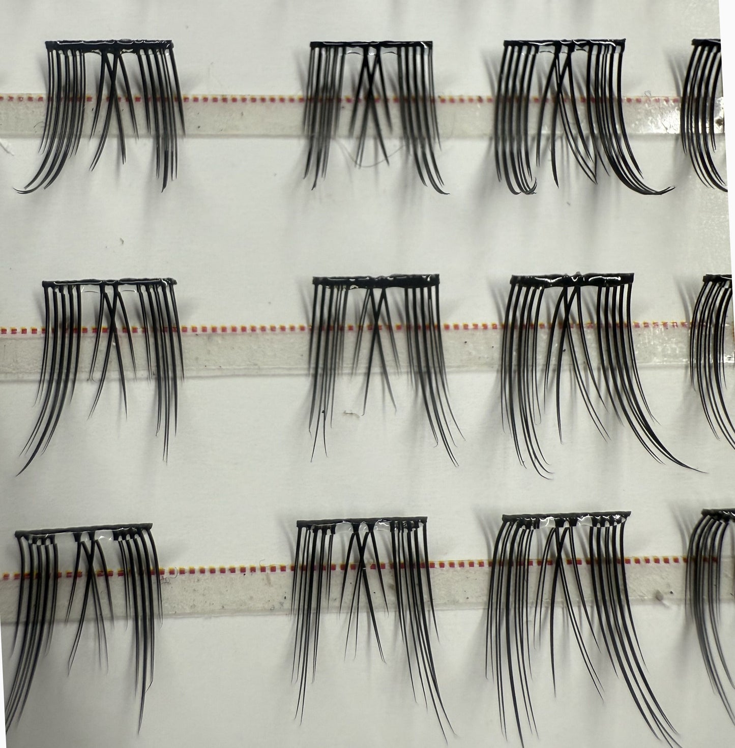 eyelash