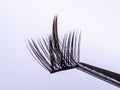 Style 3 Flowy Wisps – Soft Volume Lashes