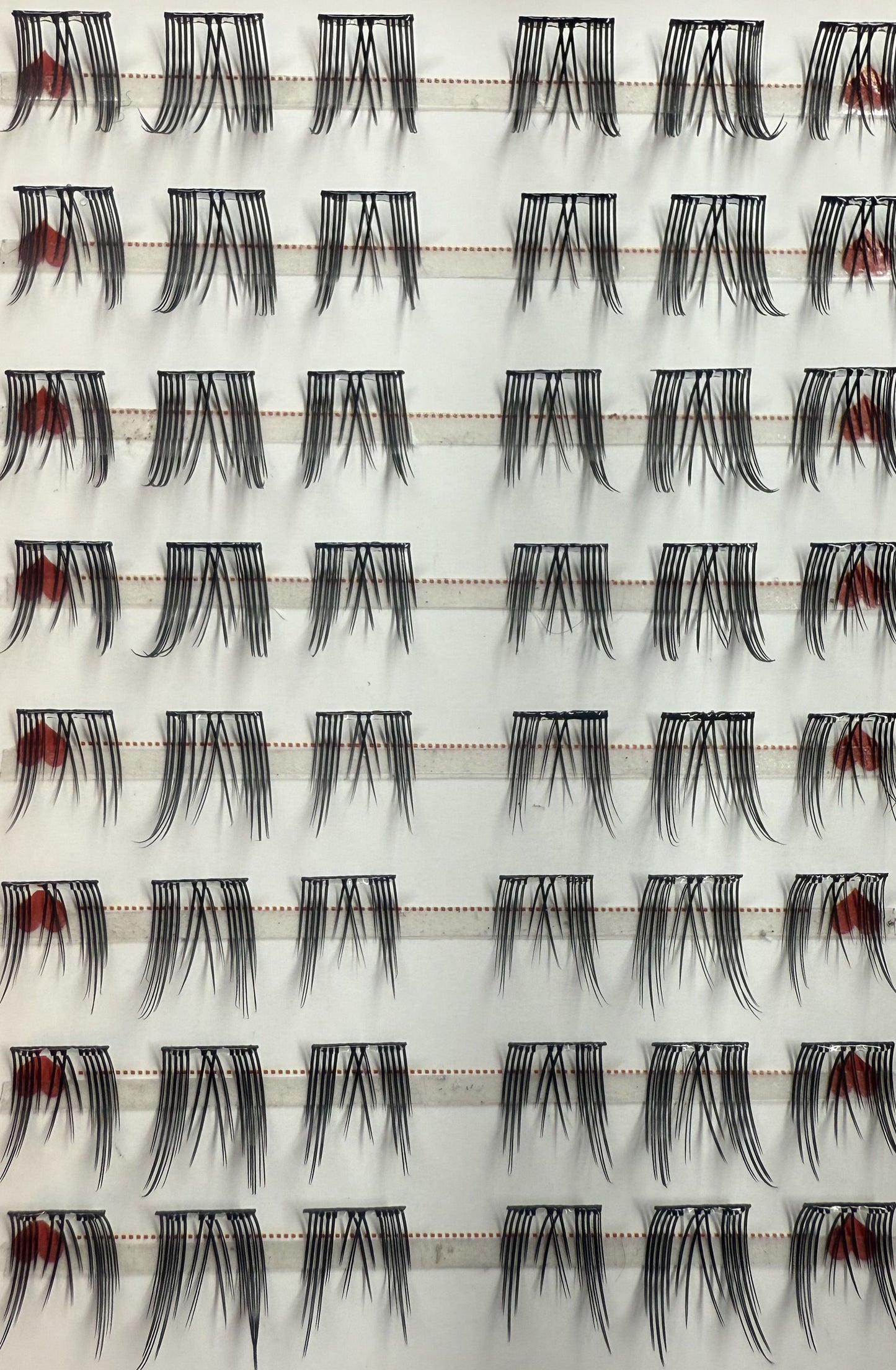 eyelash